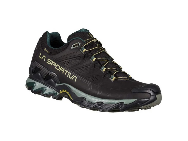 34F999811 ULTRA RAPTOR II LEATHER GTX® 